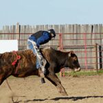Are Rodeo Vests Comfortable for Bull Riders?