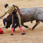 Becoming a BullFighter: What You Need Becoming a BullFighter: What You Need