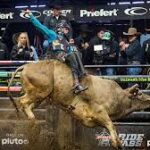 Behind the Scenes: The Life of a Rodeo Bull