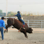 Best Materials for Durable and Lightweight Rodeo Vests