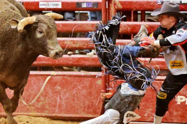Best Rodeo Events to Attend in 2025