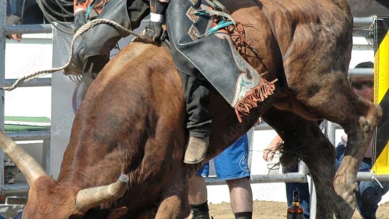 Best Rodeo Gear for New Bull Riders