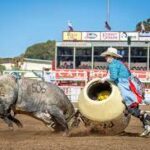 Bull Fighting Techniques Every New Rodeo Athlete Should Know