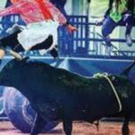 BullFighters vs. Rodeo Clowns Explained BullFighters vs. Rodeo Clowns Explained