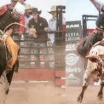 Essential Rodeo Equipment for Bull Riders vs. Barrel Racers
