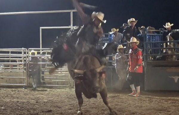 Essential Rodeo Gear Every Rider Should Own