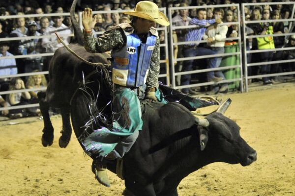 Essential Safety Tips for Rodeo Bull Fighters