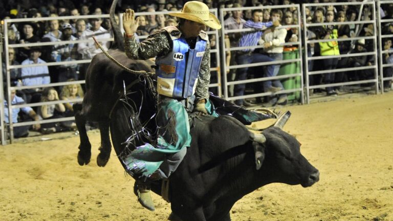 Essential Safety Tips for Rodeo Bull Fighters