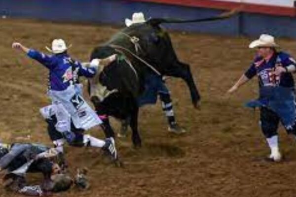 How Bull Fighters Protect Bull Riders