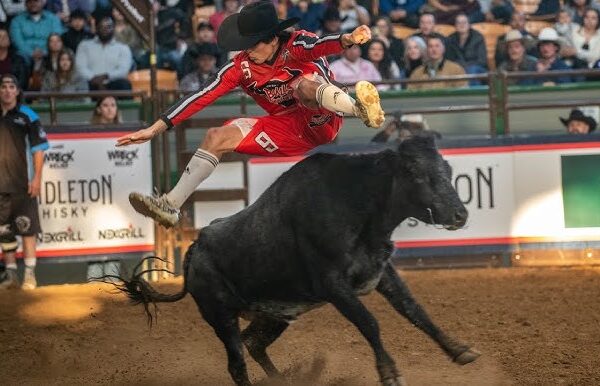 How Bull Fighters Protect Riders in the Arena