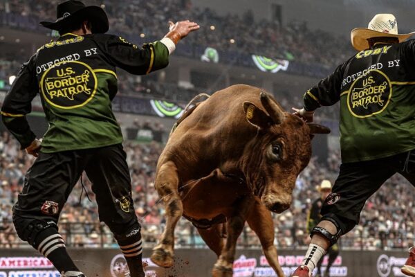 How Bull Fighters Stay Safe in the Arena