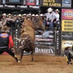 How Bull Fighting Has Evolved in Modern Rodeo Competitions