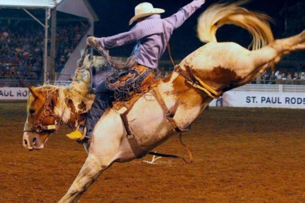 How Rodeo Events Are Scored