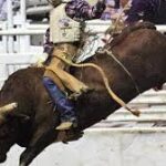 How Rodeo Vests Help Prevent Injuries in Bull Riding