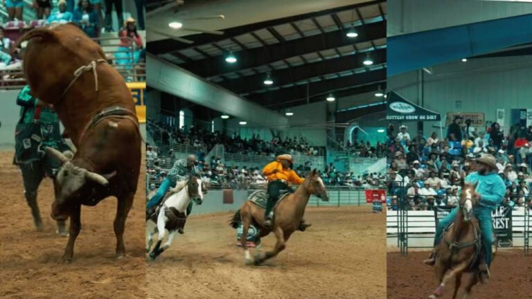 How to Buy Tickets for the Best Rodeo Shows