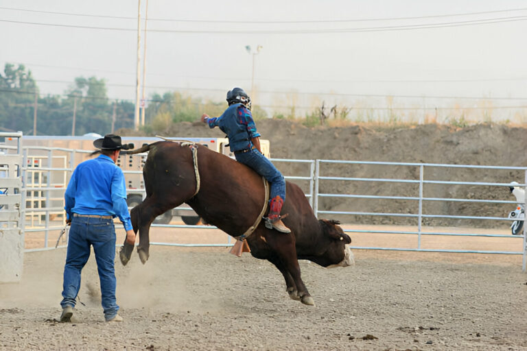 How to Care for and Maintain Your Rodeo Vest