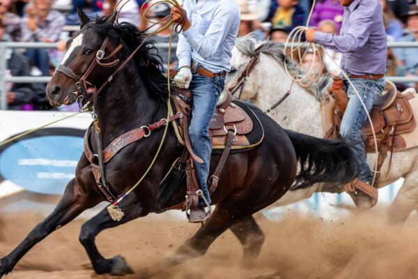 How to Choose the Right Rodeo Vest for Your Riding Style