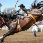 How to Get Tickets for Rodeos