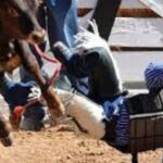 Importance of Rodeo Vests in Bull Riding