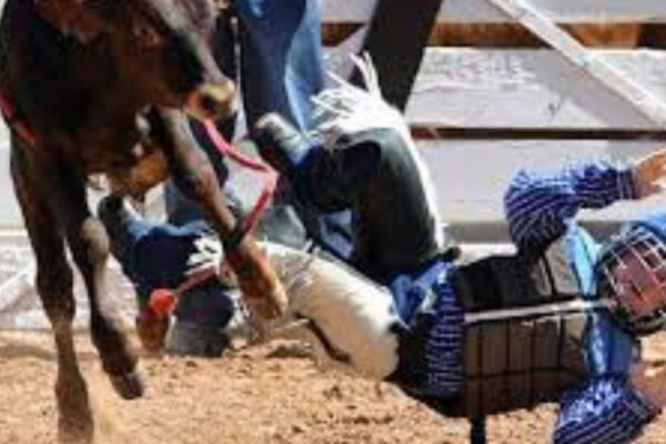 Importance of Rodeo Vests in Bull Riding