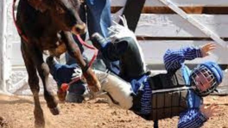 Importance of Rodeo Vests in Bull Riding