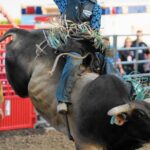 Myths About Rodeo Vests Debunked