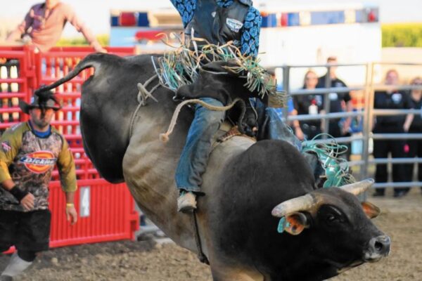 Myths About Rodeo Vests Debunked