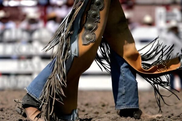 Rodeo Chaps Style, Protection, and Functionality