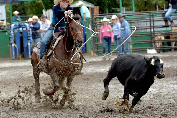 Rodeo Rope & Lasso: Techniques & Best Brands