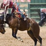 Rodeo Vests vs. Traditional Body Armor
