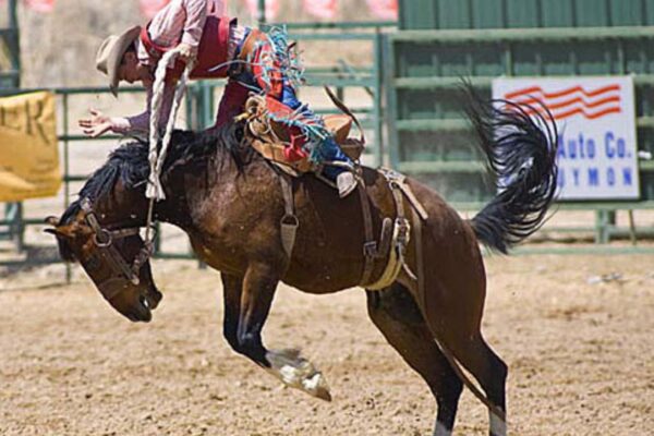 Rodeo Vests vs. Traditional Body Armor