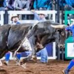 Role of BullFighters in Rodeos