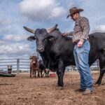The Best Breeds for Rodeo Bucking Bulls