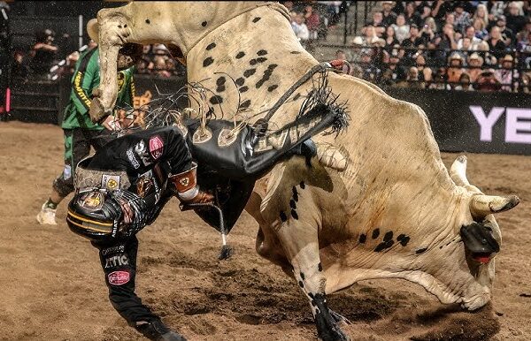 The Best Bull Fighters in Rodeo History