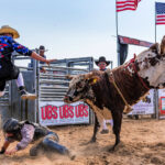 The Best Rodeo Festivals for Families & Fans