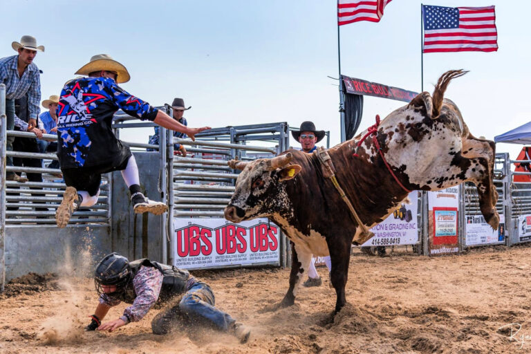 The Best Rodeo Festivals for Families & Fans