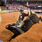 The Best Rodeo Helmets for Safety & Protection