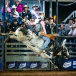 The Biggest Rodeo Events in Australia