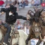 The Biggest Rodeo Events in the U.S. You Need to Attend.