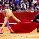 The Dangers and Rewards of Bull Fighting