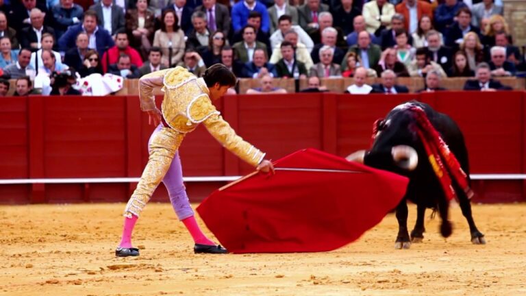 The Dangers and Rewards of Bull Fighting