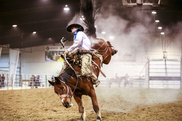 The Importance of Wearing the Right Rodeo Gear