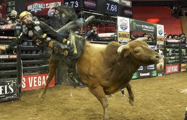 The Importance of a High-Quality Rodeo Vest for Safety