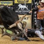 The Most Famous Bulls in Rodeo History and Their Records