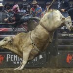 The Most Legendary Bulls in Rodeo History