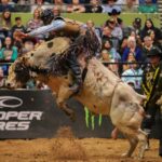 The Role of Bull Fighters in Rodeo Safety The Role of Bull Fighters in Rodeo Safety