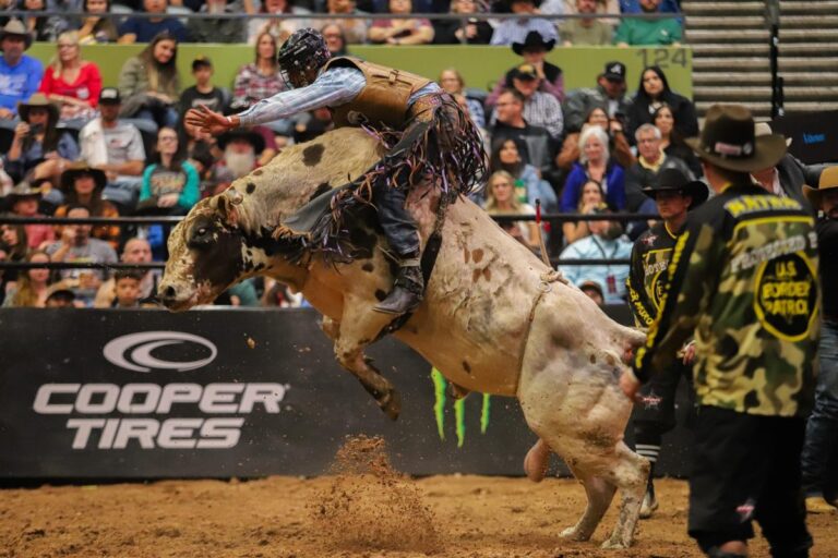 The Role of Bull Fighters in Rodeo Safety