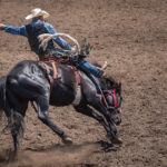 The Tradition of Rodeo Competitions