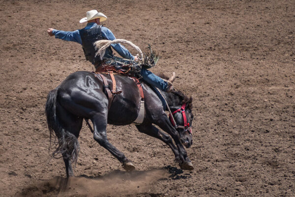 The Tradition of Rodeo Competitions