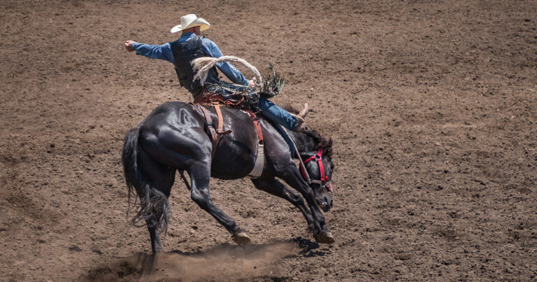 The Tradition of Rodeo Competitions